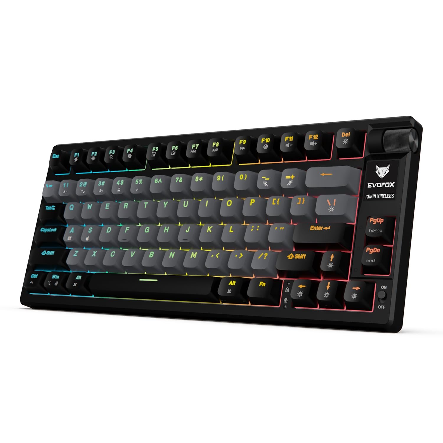 EvoFox Ronin Wireless Mechanical Keyboard (BT+2.4GHz+Wired) | 9 Layer Gasket Structure, Outemu Red Switches, Per-Key RGB, 1000Hz, nKey Rollover, Volume Controller | Windows Software (Black)