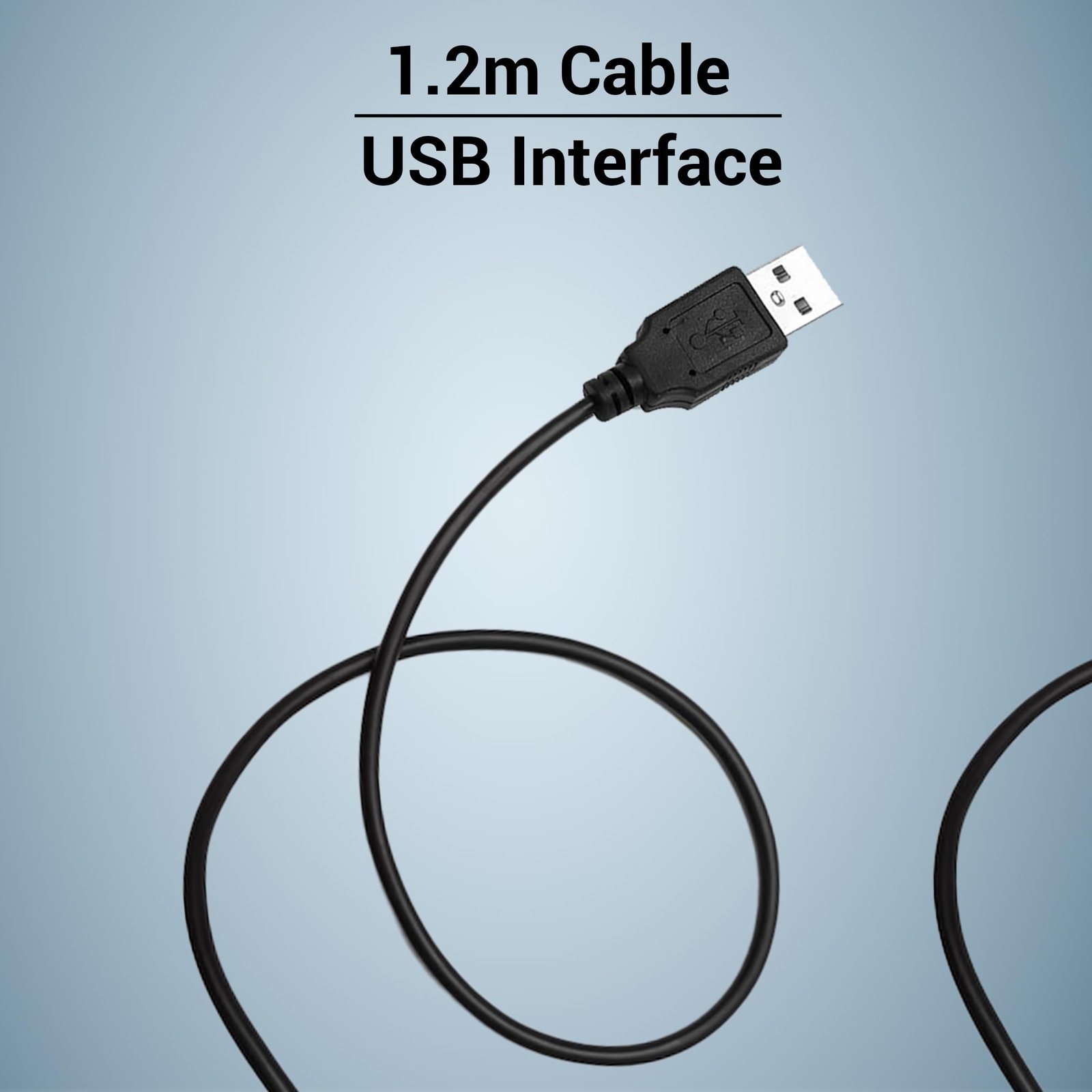 ZEBRONICS ZEB-KM2100 Multimedia USB Keyboard Comes with 114 Keys Including 12 Dedicated Multimedia Keys & with Rupee Key - Image 2